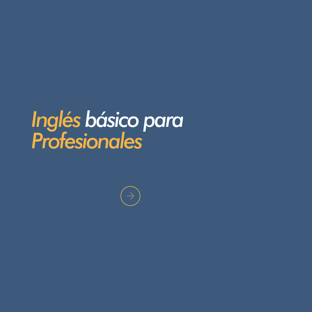 Inglés Basico para Profesionales
